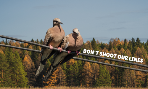 Hunting Season Safety: Keep Utility Equipment Out of Your Sights